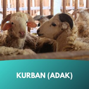 infaq-spende-kurban-adak