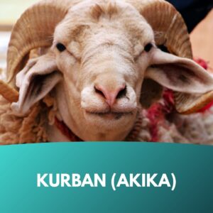 infaq-spende-kurban-akika