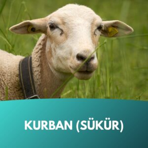 infaq-spende-kurban-sukur