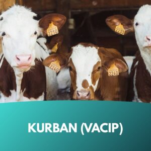 infaq-spende-kurban-vacip